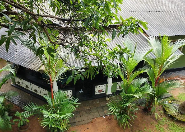 Green Bamboo House