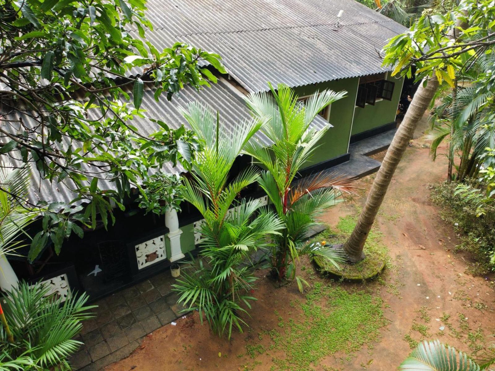 منزل للإقامة Bamboo House