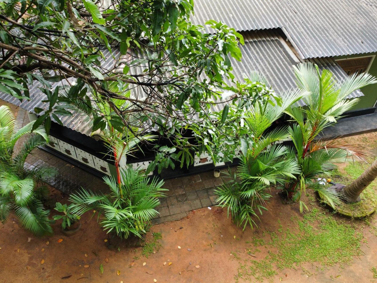 Bamboo House منزل للإقامة *