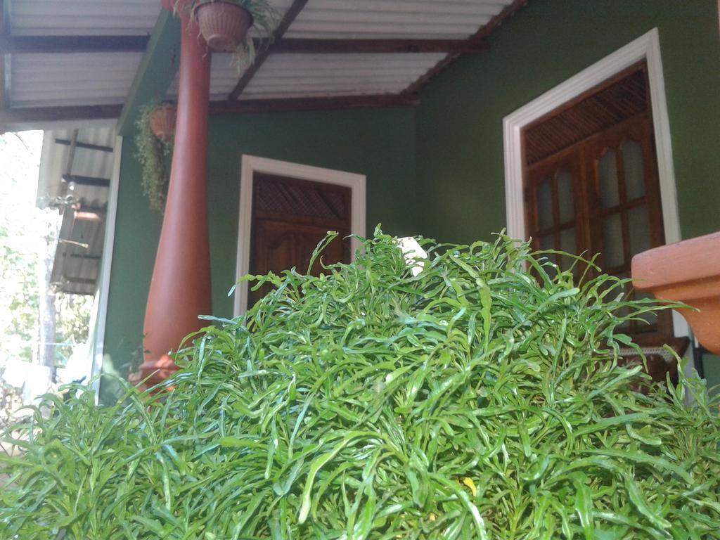 Bamboo House سيغيرِيا